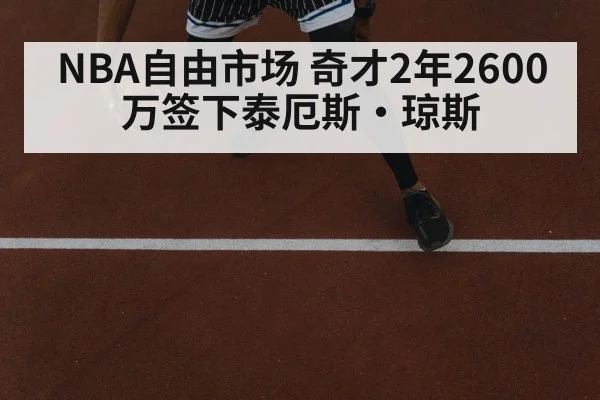 NBA自由市场 奇才2年2600万签下泰厄斯·琼斯